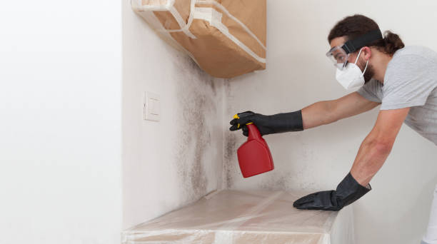 Professional Mold Remediation technician working in Littleton Common, MA