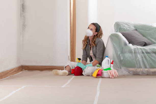 Reliable Mold Remediation contractor in Littleton Common, MA by 24 Hour Mold Removal